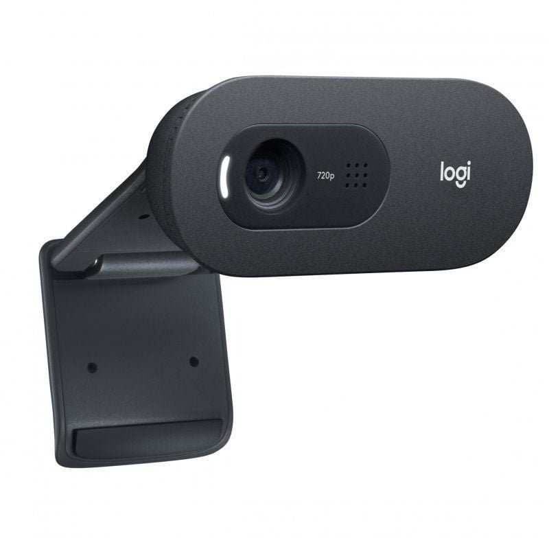 Webcam Logitech C505E/ 1280 x 720 HD - изображение 3