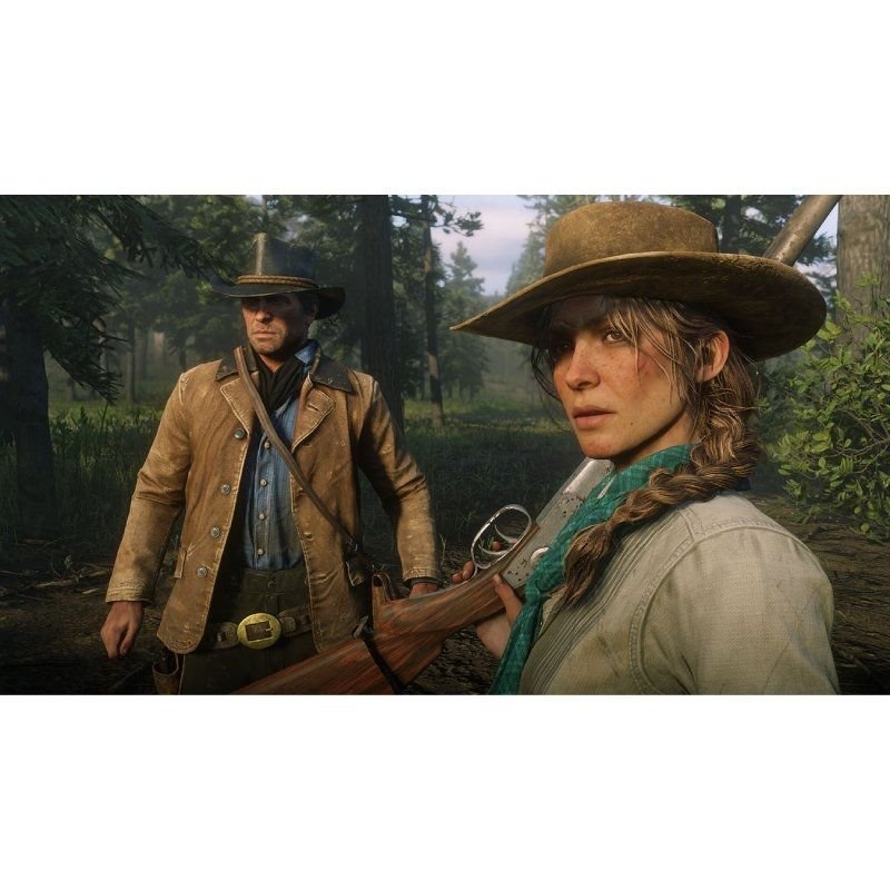 Juego para Consola Sony PS4 Red Dead Redemption 2 - изображение 2